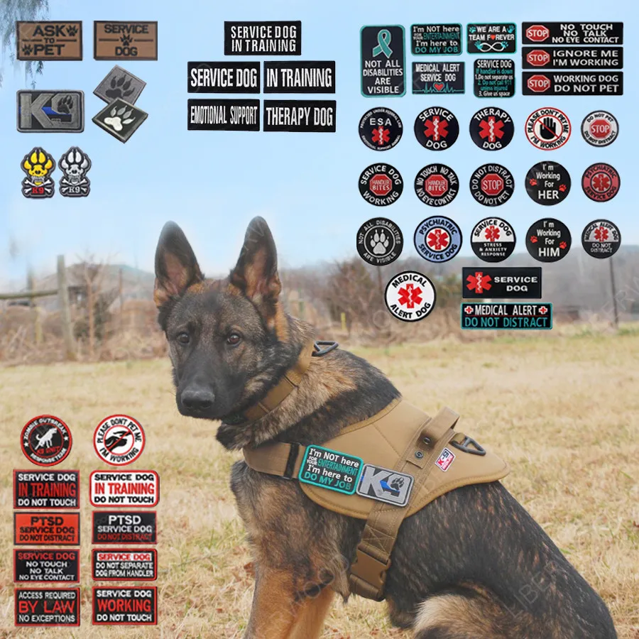 Velcro patches Tags for Dog Harness Vest SERVICE DOG THERAPY POLICE IN  TRAINING SEARCH & RESCUE SECURITY DO NOT PET EMOTIONAL SUPPORT