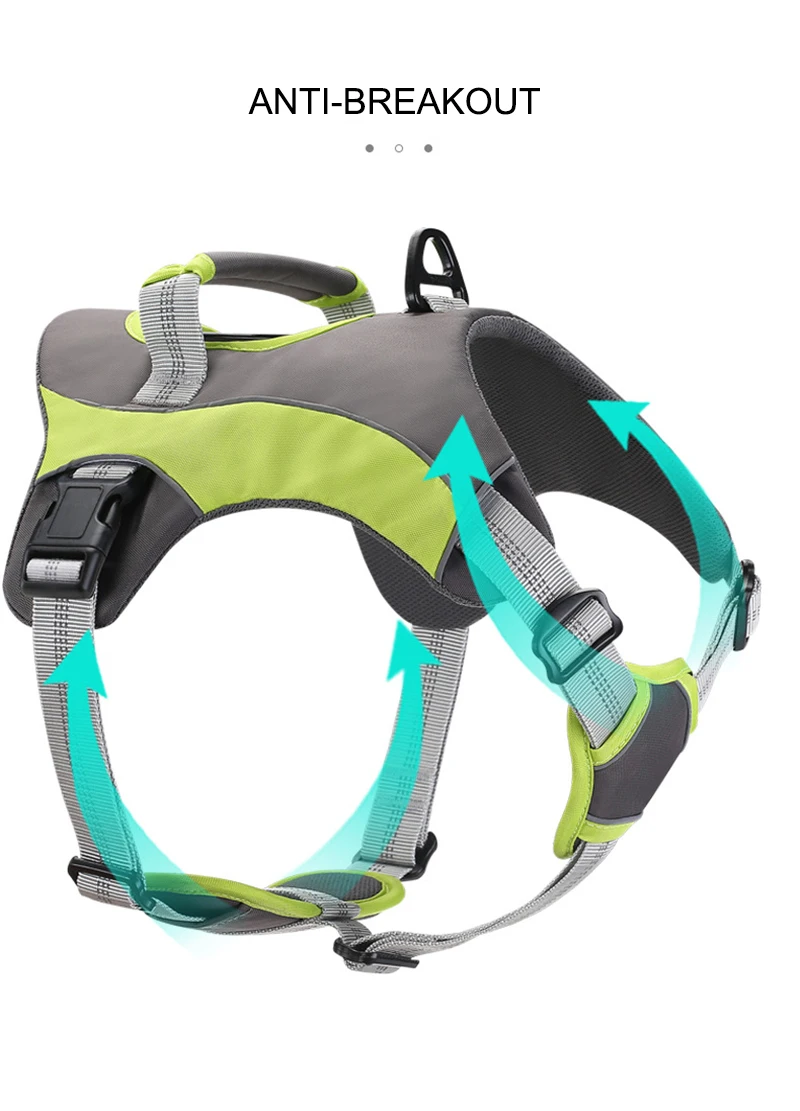 Harness Dog (14)