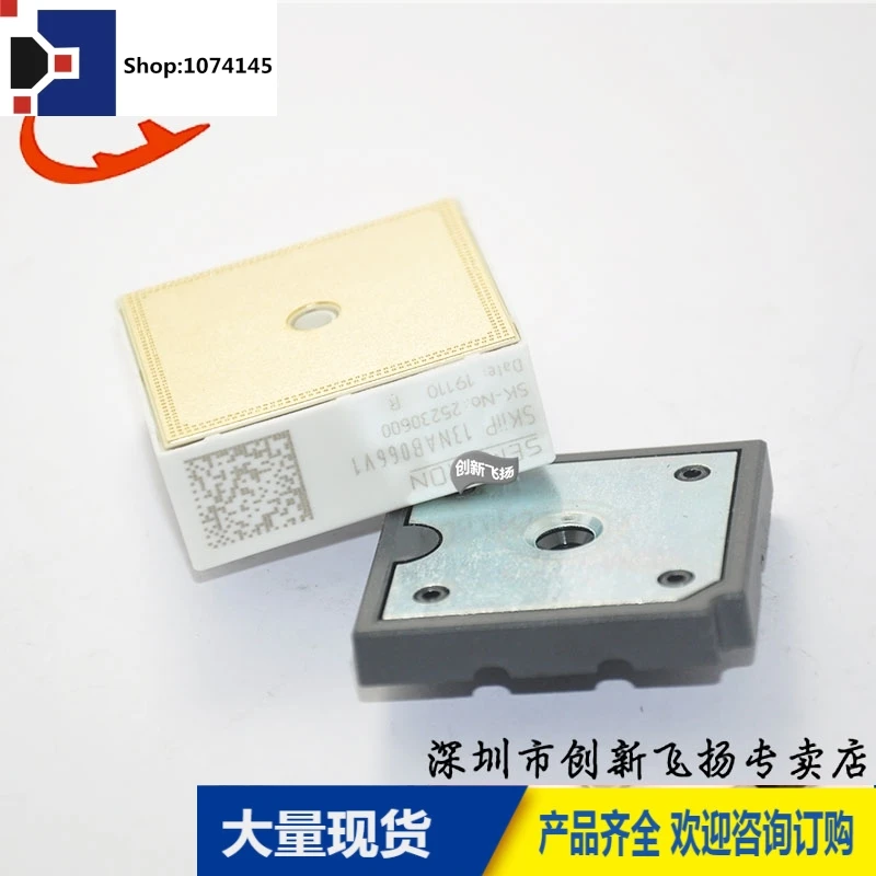 SKIIP13NAB066V1/