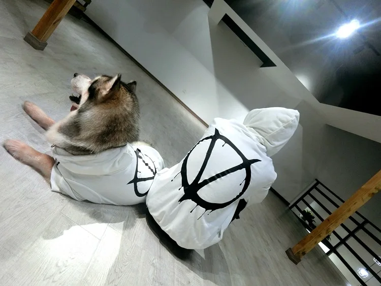 Модный бренд Pet наряд для родителей и ребенка с буквенным принтом Одежда с принтом в виде собак осень-зима Тедди Pomeway золотых волос питомцев, Костюмы собака Костюмы