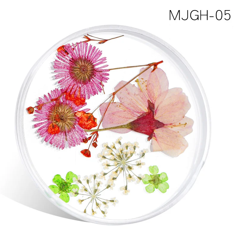 MJGH 05 Сушеные цветы, листья, украшения для ногтей, Микс, натуральный цветочный гипсофиловый стикер, 3D, сухая красота, наклейки для ногтей, УФ Гель-лак, маникюр - Цвет: MJGH 05