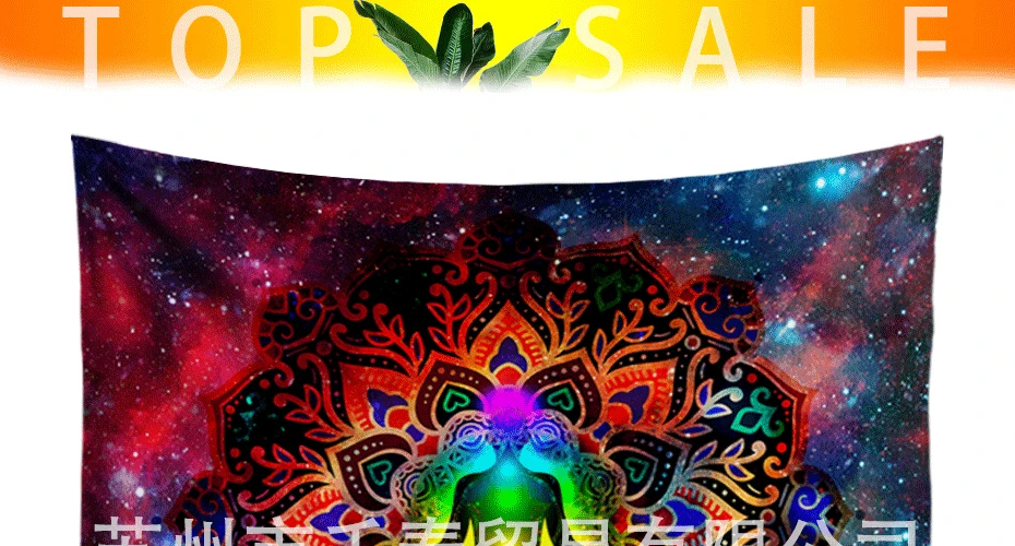 dss_01