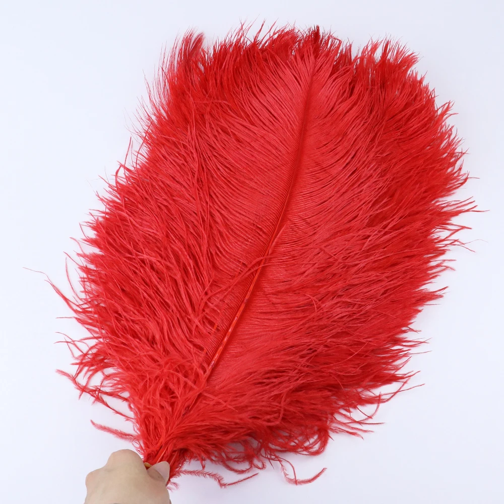 TS0145003 45-50cm ostrich feathers 4