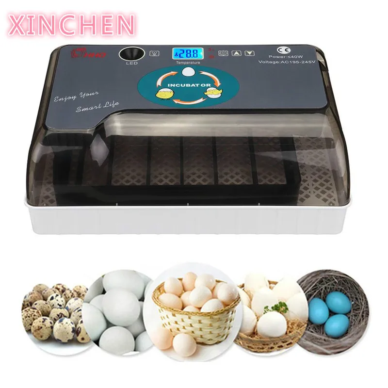 

HHD Newest Best Farm Hatchery Machine 12Egg Hatchers Cheap Price Chicken Automatic Egg Incubator China for Sale Quail Brooder
