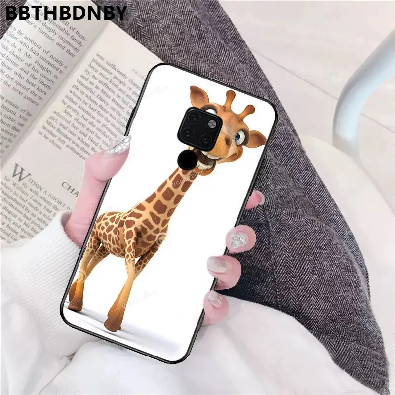 Giraffe cute