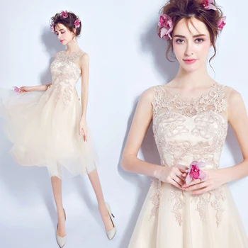 

Champagne Cocktail Dresses Tulle Elegant Lace Applique Prom Party Short Dress Scoop Neck Lace Up Girl Graduation Dress 2020 New