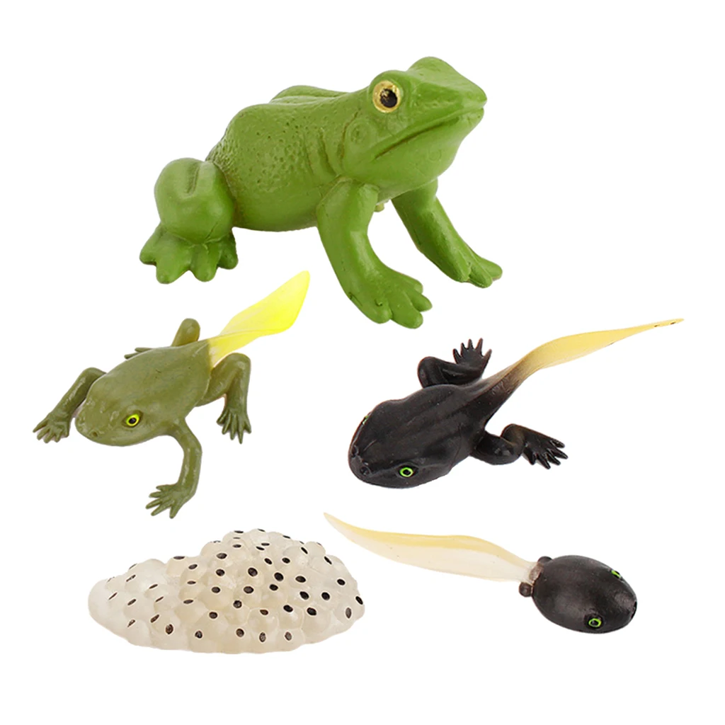 Early Kids Toddlers Simulation Animals Growth Cycle Toy Pretend Play Animal Growth Cycle Teaching Aids Early Educational Toy