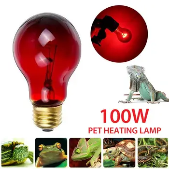 

E27/110V 100W Amphibian Snake Reptile Heating Light Bulb Impact Resistant Safe UVA Night Light Daytime Lamp Bulb
