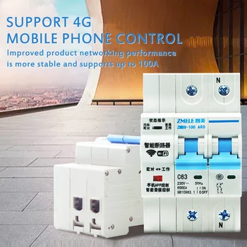 

40/63/80/100A 2P WiFi Smart Circuit Breaker Switch Tuya APP 220V Automation Overload Short Circuit Energy Monitoring Function