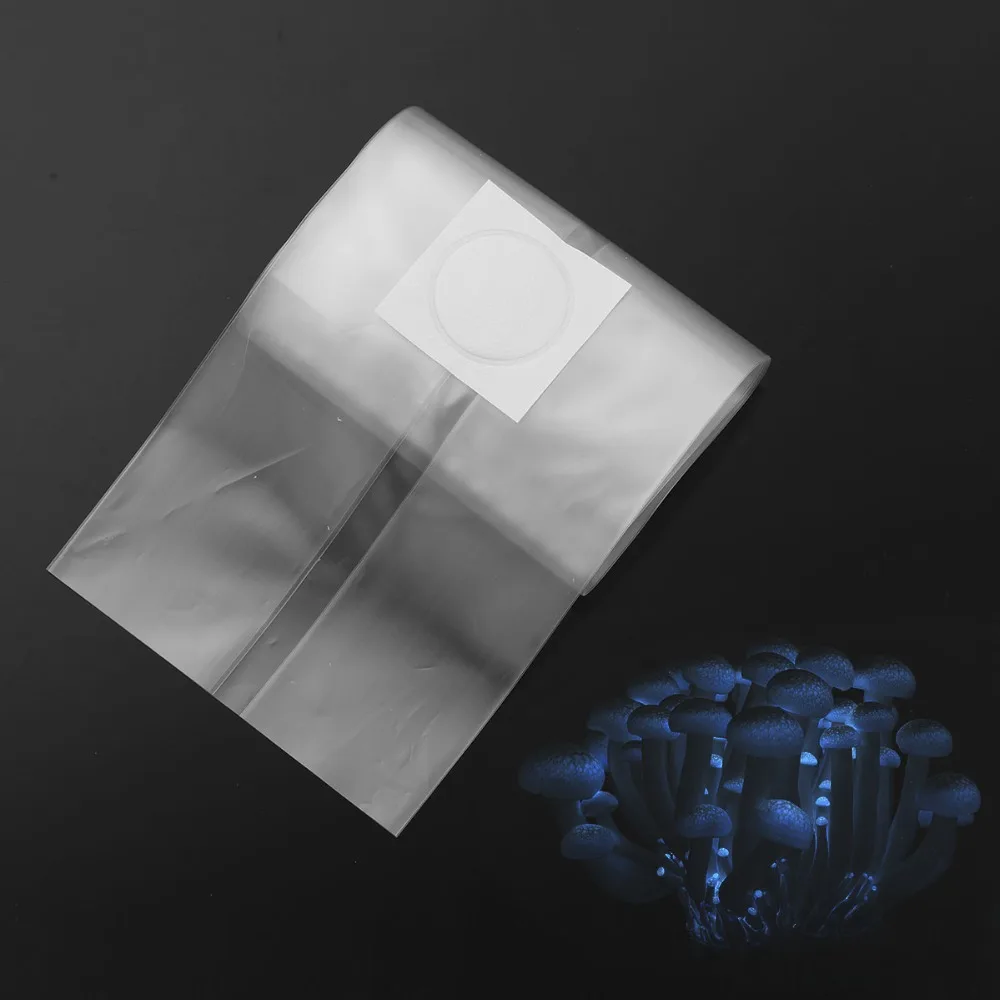 H9880d816ea2c47a48900246a439875b2z