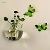 Glass Vase Wall Hanging Hydroponic Terrarium Fish Tanks Potted Plant Flower pot 3