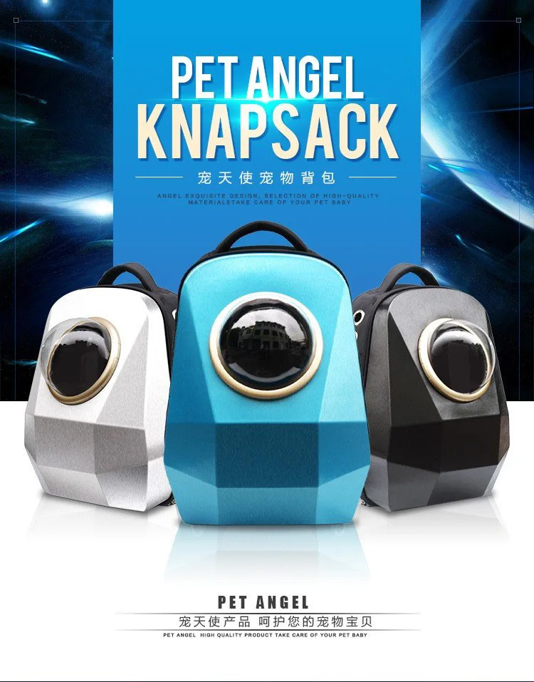 10723482675_345777210