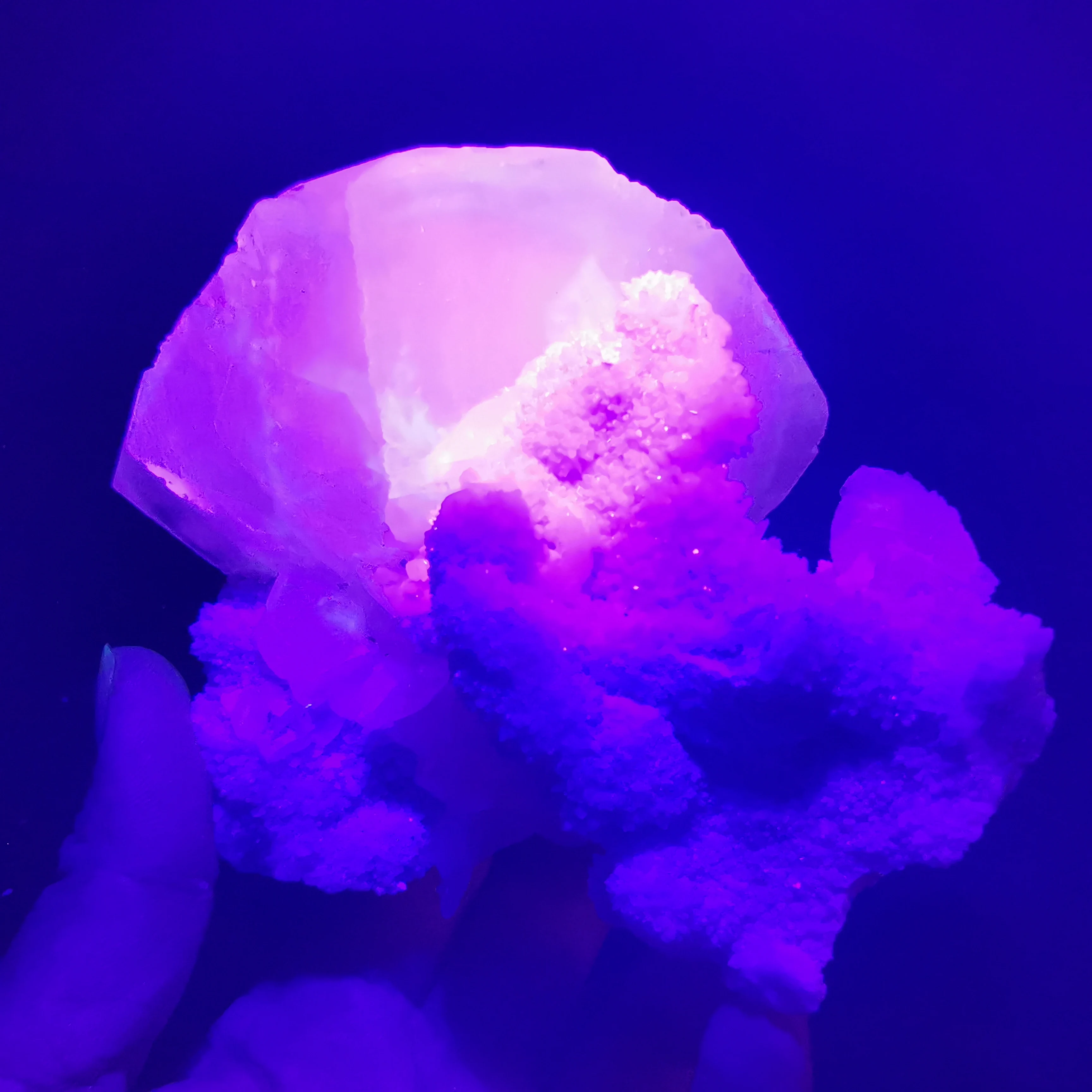 

373.9g100% natural calcite shell mineral crystal specimen stone and CRYSTAL HEALING CRYSTAL QUARTZ GEM
