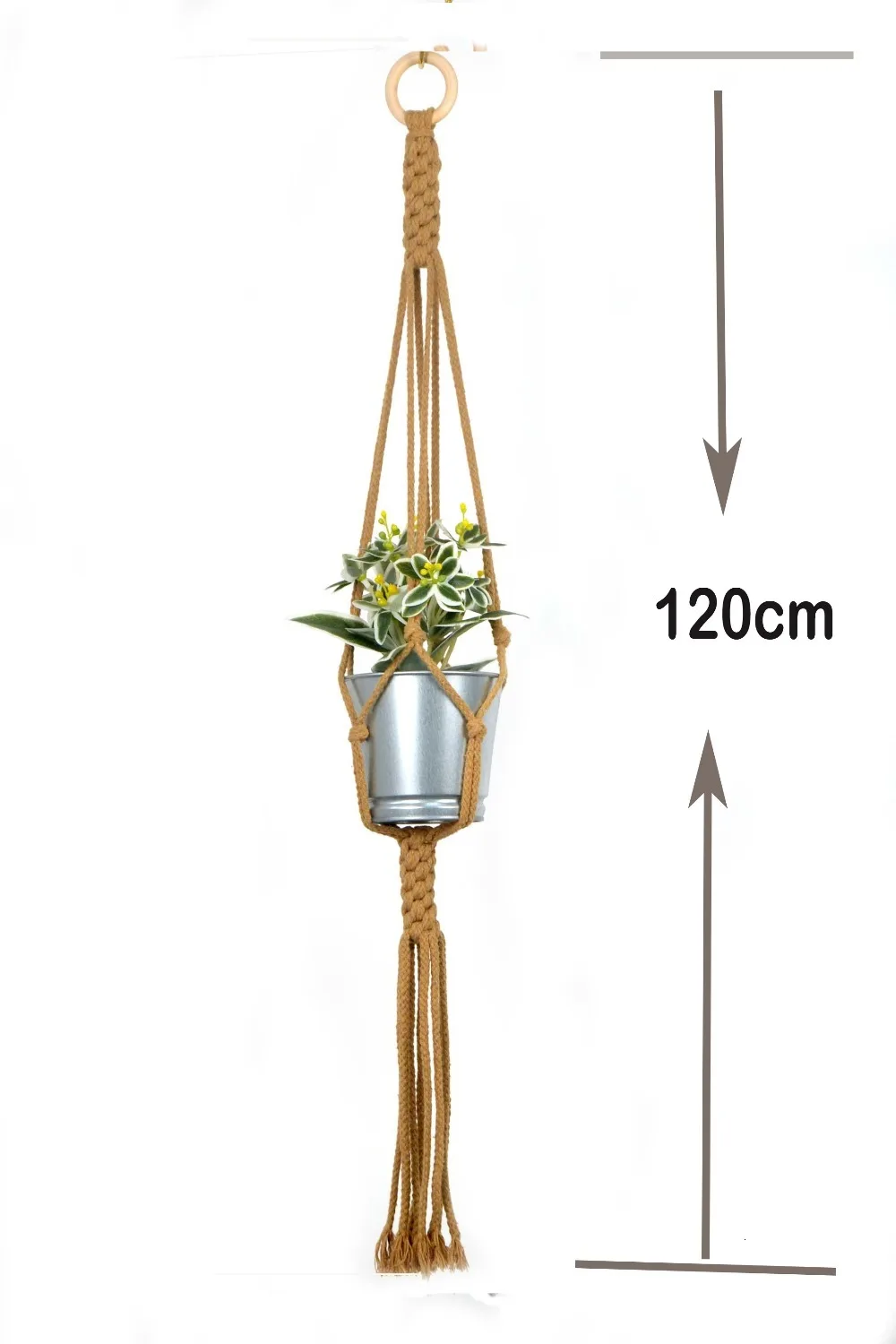 TB2D0RfJh1YBuNjy1zcXXbNcXXa_!!3419583669++