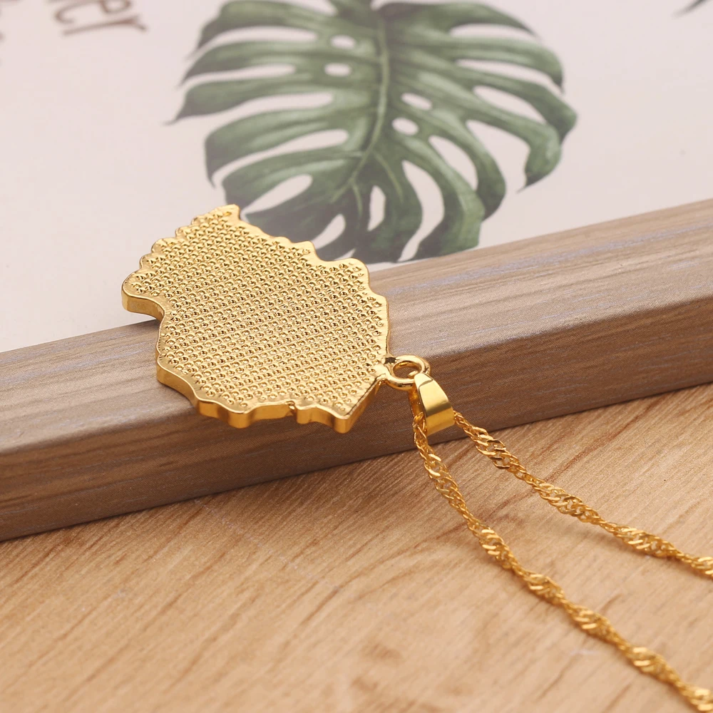 Страны карта и кулон в форме флага ожерелья для женщин мужчин модные карты Алжира