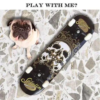 

Sefulim 31"x8" Pro Complete Skateboard Skull Skateboard for Kids, Boys, Girls For USA Customers