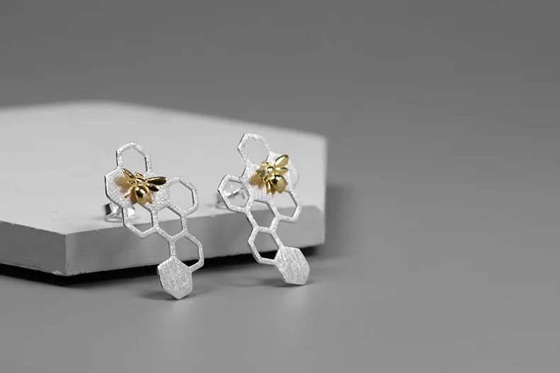 9123533735_886284137