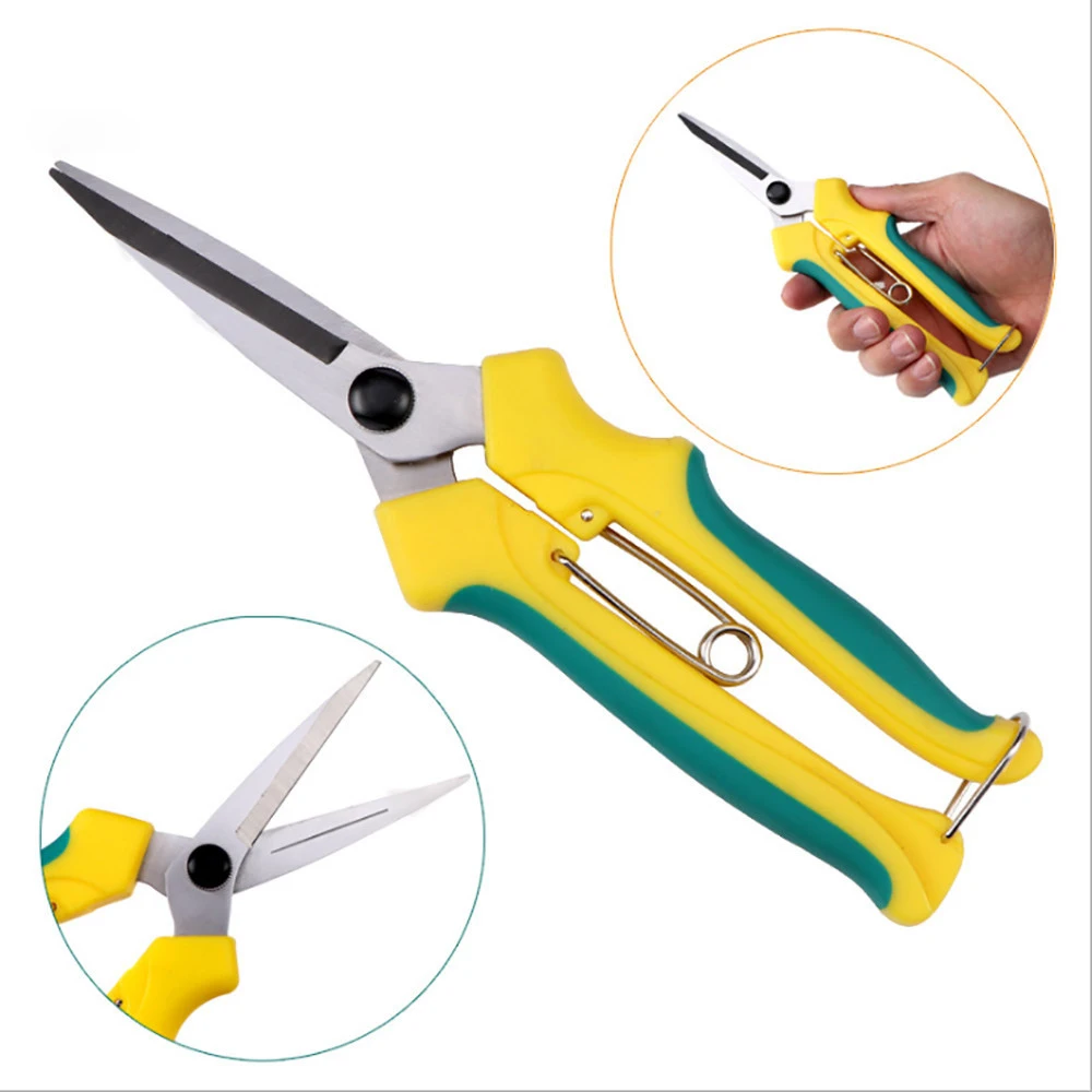 Straight Fruit Tree Picking Scissors Rubber Orchard Thin Shears Gardening Bonsai Tools Garden Supplies Pruning shear | Инструменты