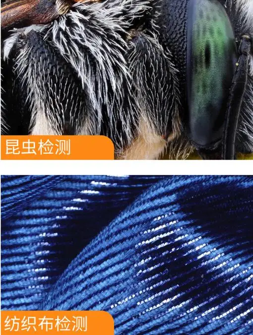 QQ截图20190831090139