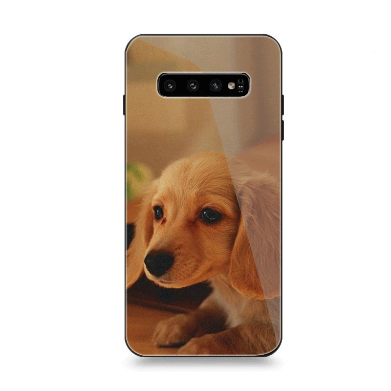 G8 Чехол для телефона Стекло для samsung A70 A50 A30 A40 A20 A60 A10 S7 край S8 S9 S10 плюс Чехол Животные собаки такса - Цвет: G8