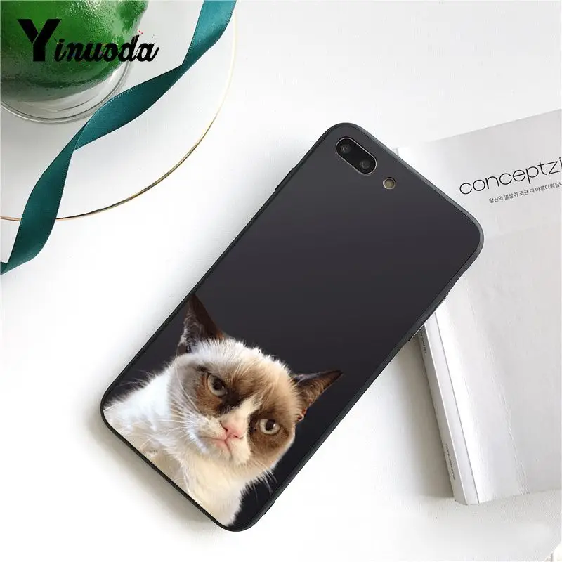 Cute  French Bulldog cartoon dog and cat