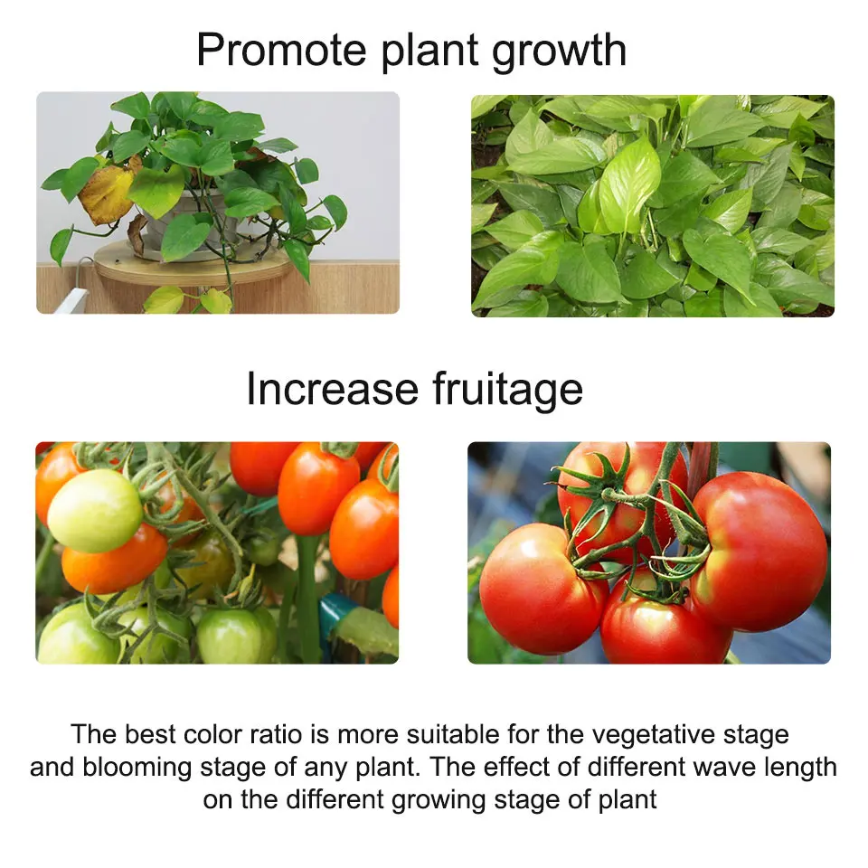 a062afae5aaf2bd2831f28417c1a134c_HTB1jObMbXzsK1Rjy1Xbq6xOaFXaj