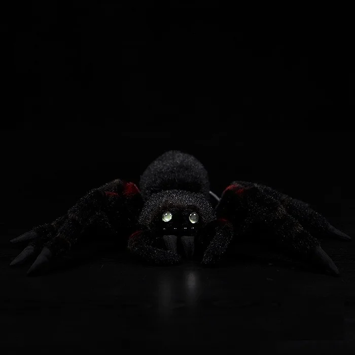 O1CN01JZyA8I1DnZzRI3iXA_!!22080261