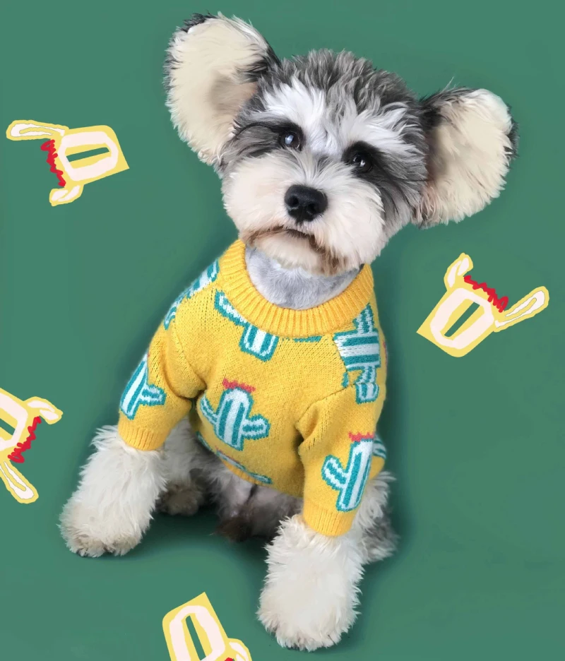 Свитер для собак зимняя одежда для собак Померанский Пудель Bichon Schnauzer Мопс одежда Французский костюм для бульдога Frenchies пальто наряд