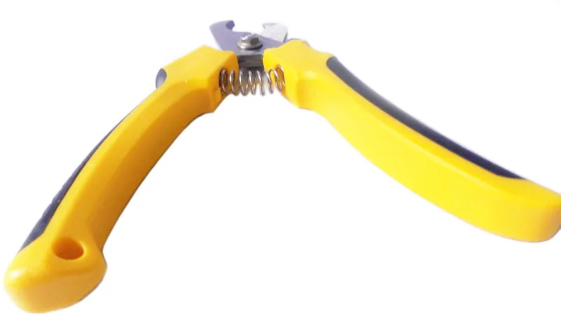 HTB1580VLpXXXXceXpXXq6xXFXXXp