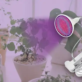 

Led Plant Lamp Photo Face Beauty Lamp 20W Fill Light Fleshy Flower Seedling Growth Lamp