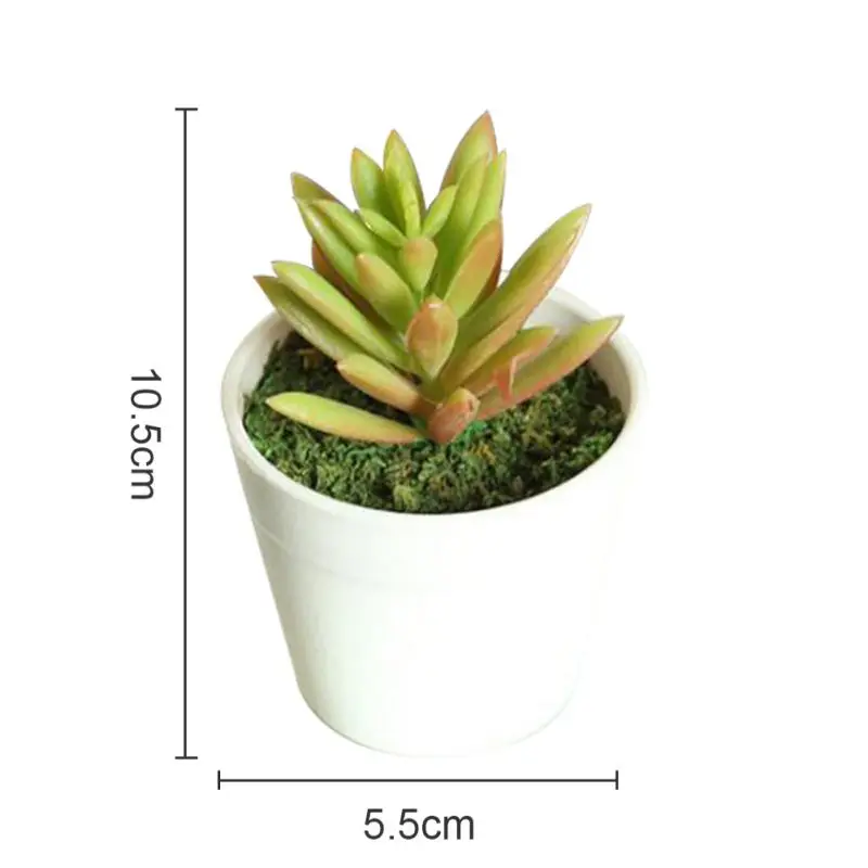 Искусственные влагозапасающие растения с пластиковым горшком мини-размера декоративный искусственный суккулент растения Кактус в горшке - Цвет: A7