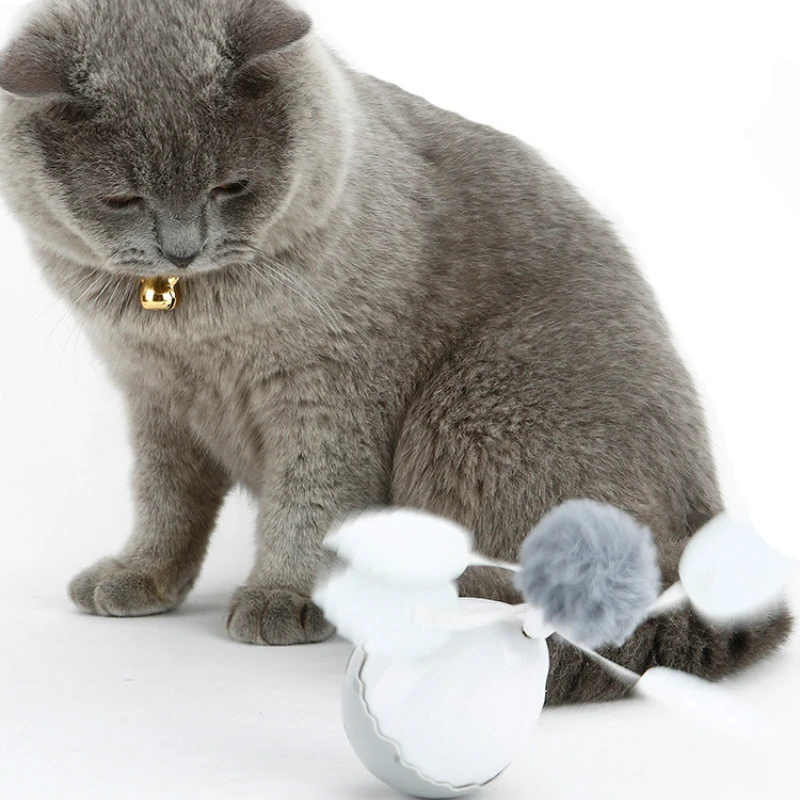 cat spin toy