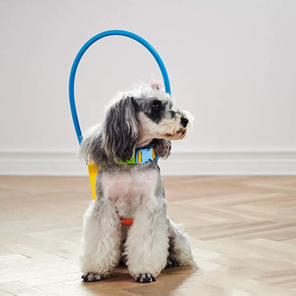 HobbyLane слепой Pet анти столкновения кольцо катаракта защита животных круг