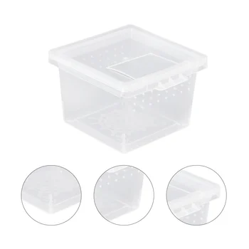 

10pcs Mini Reptile Container Transparent Creative Reptile Feeder Box Mini Feeding Box Reptile Feeder Container for Spider