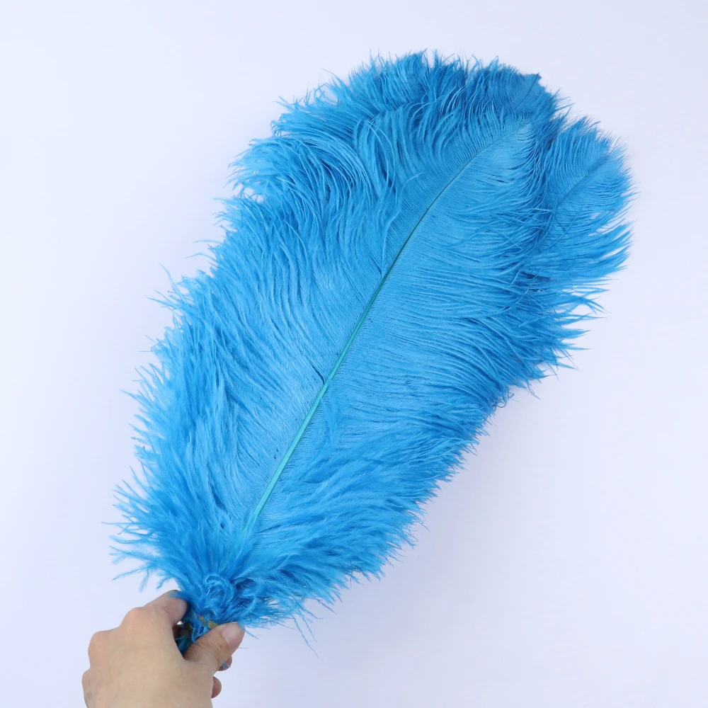TS0145306 45-50cm ostrich feathers 3