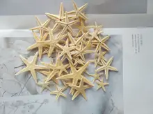 Горячая Новинка 1-5 см натуральная морская звезда, морская звезда, Пляжное ремесло, натуральные морские звезды, DIY пляжное свадебное украшение, ремесла, домашний декор, эпоксидная смола Горячая Новинка 1-5 см натуральная морская звезда, морская звезда, Пляжное ремесло, натуральные морские звезды, DIY пляжное свадебное украшение, ремесла, домашний декор, эпоксидная смола