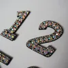 Rainbow Rhinestone 0-9 Number Arabic Numerals Sew Iron On Patch Badge Bag Hat Jeans Jackets Clothes DIY Applique Craft ► Photo 2/6