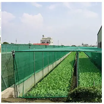

Anti Bird Net Garden Orchard Polyethylene Anti Bird Net