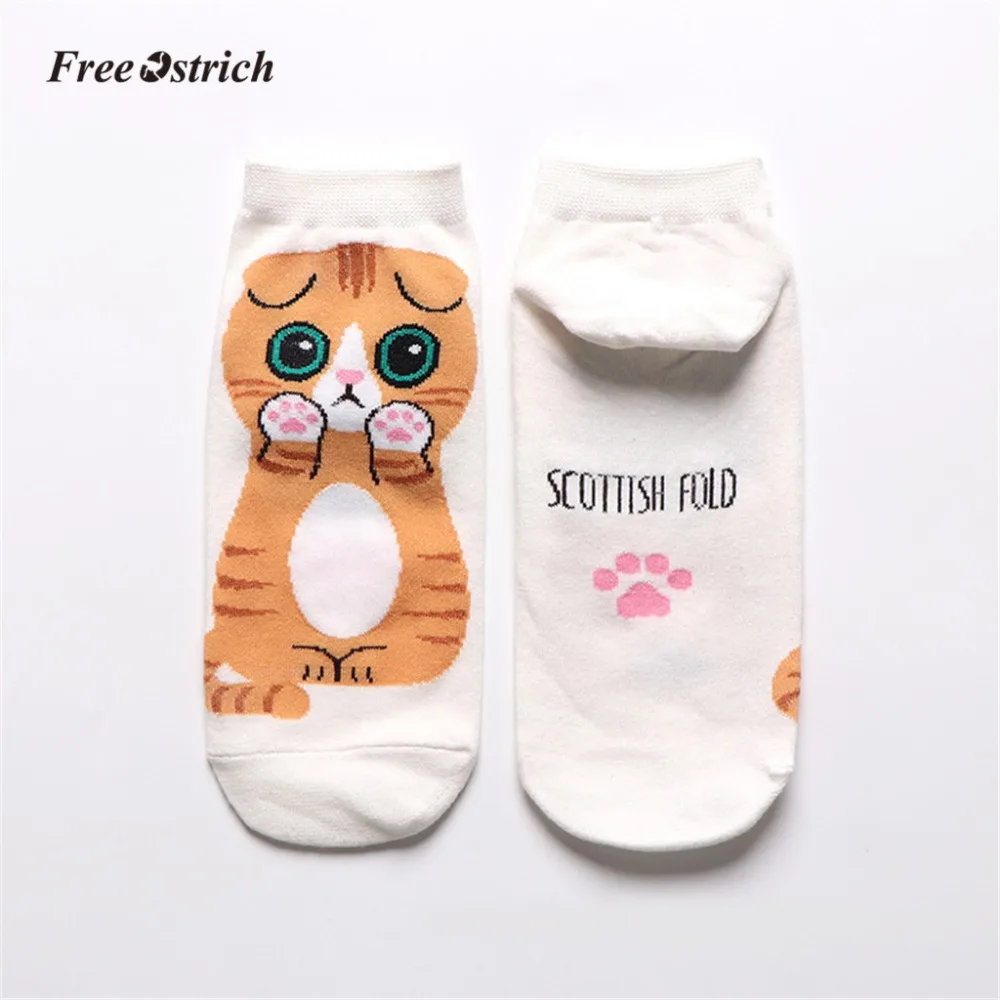 11 - YQT90309192_2019030909451193912