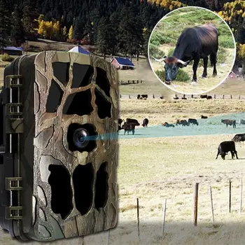 

Hunting Camera HD 4K Photo Traps Night Vision Wildlife Infrared Hunting Trail Cameras Hunting Chasse Scout Outdoor Tool