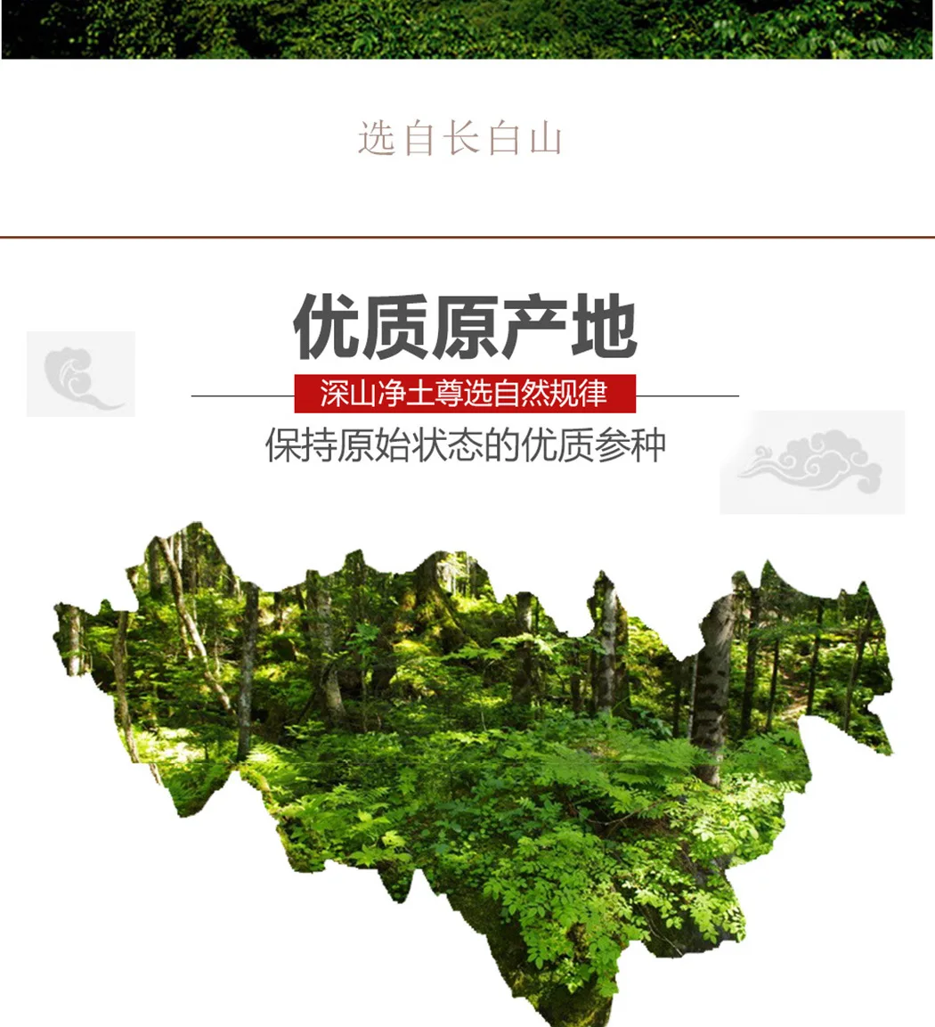 木盒人参_10.jpg
