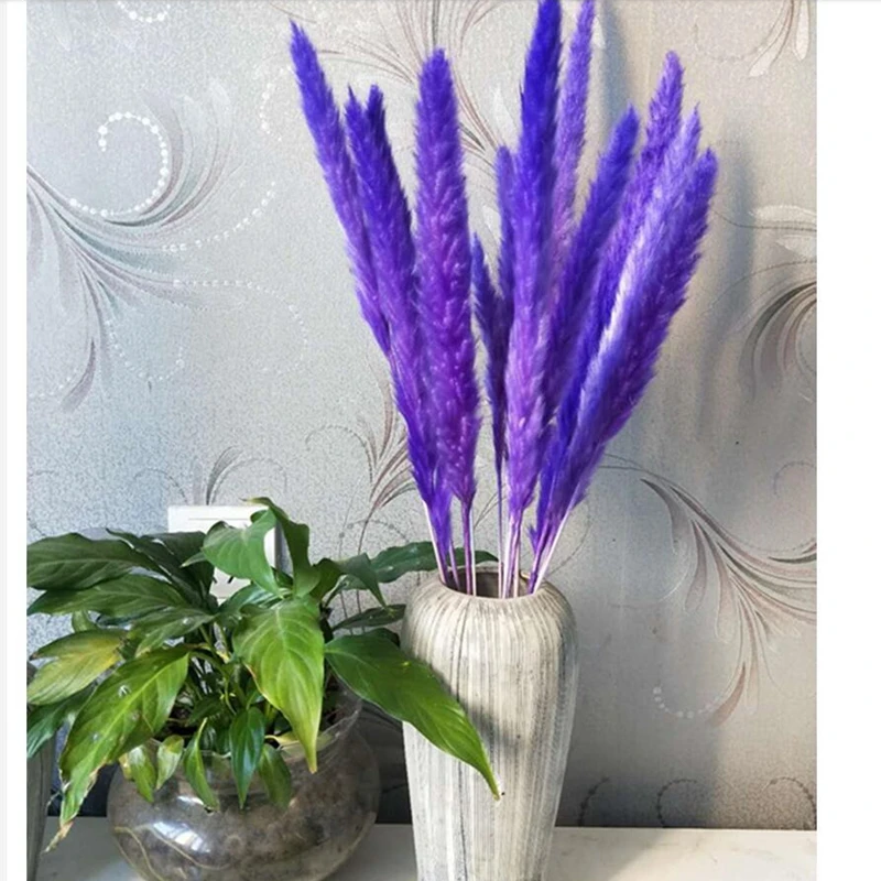 QQ截图20191030190706