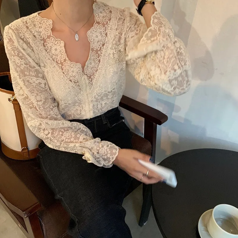 H4b0cfb467c3542fdade7c3f43c855f3ay - Spring / Autumn V-Neck Long Sleeves Floral Lace Blouse