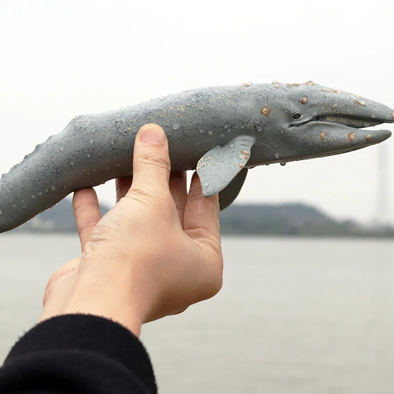 Oenux классические морские животные моделирование Кашалот мегалодон океан Sealife Большая Акула Модель Фигурки ПВХ образование детская игрушка