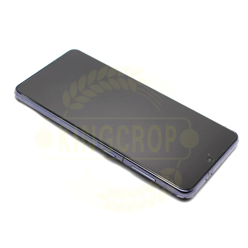 Ecran complet origine Samsung Galaxy S21 Plus (5G) coloris Violet