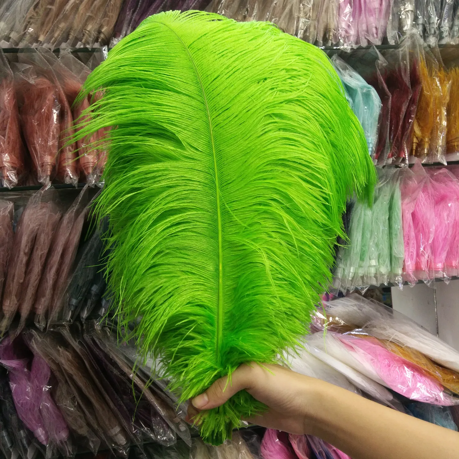 10pcs Wholesale 1618 Inch/4045 Cm Fruit Green Natural Ostrich