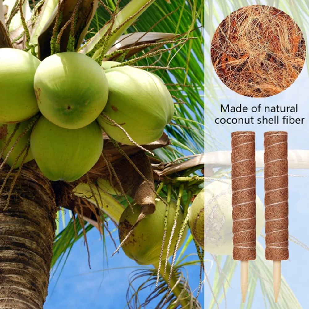 Plant Climbing Coir Pole Extendable Plant Support Climbing Indoor Potted Plants Monstera Creepers 30/40/50cm