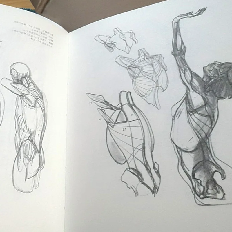 Рисунок 3 - Книга для самостоятельного обучения