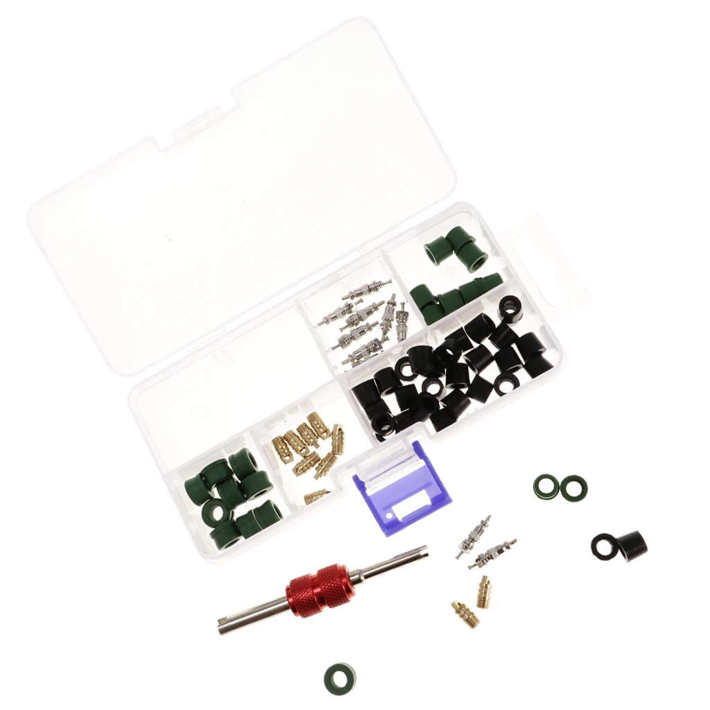71 PCS Assorted Auto Car A/C Air Conditioning Valve Core Remover Repair Tool