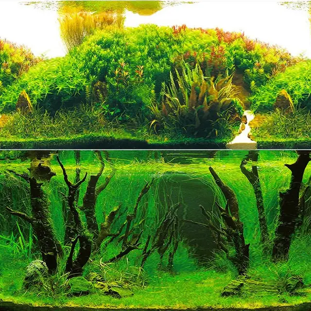 3D水族館の風景ポスター,水槽の背景の装飾,両面海,植物hd絵画ステッカー|Decorations| - AliExpress